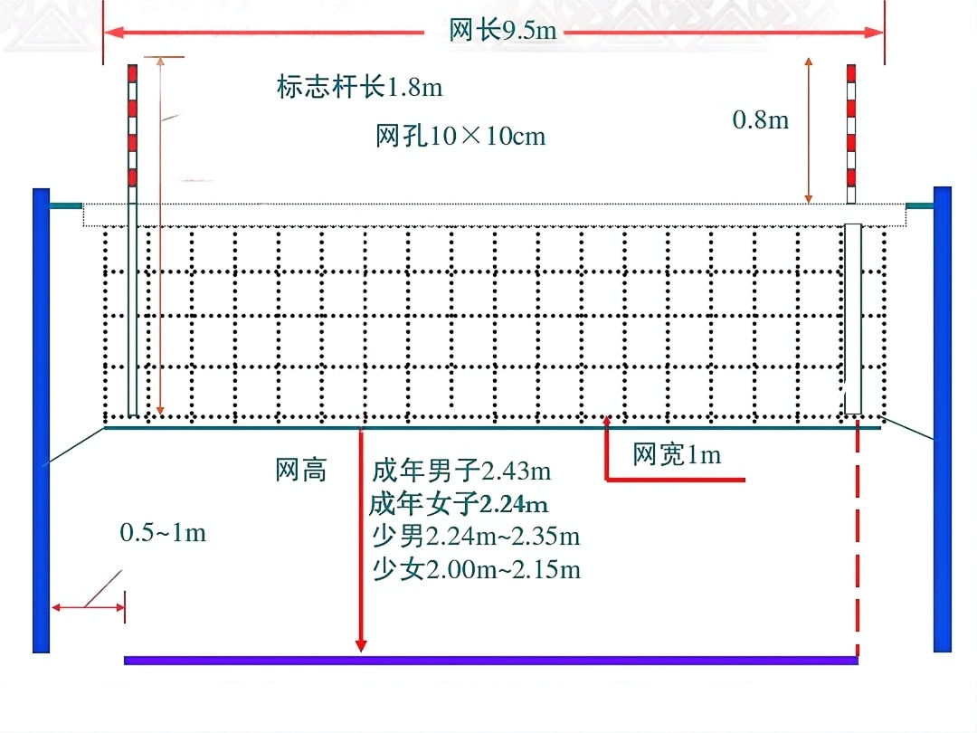 排球网标准尺寸图